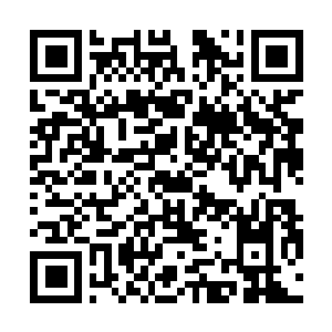 Lien vers votre campagne QRCode - Collecte de fonds
