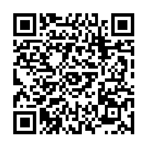 Lien vers votre campagne QRCode - Collecte de fonds