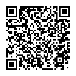 Lien vers votre campagne QRCode - Collecte de fonds