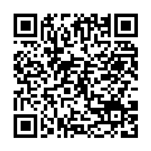 Lien vers votre campagne QRCode - Collecte de fonds