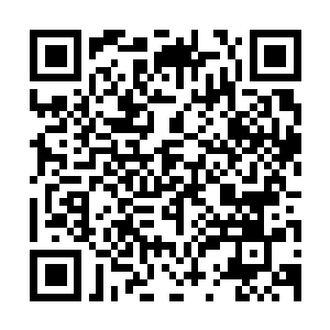 Lien vers votre campagne QRCode - Collecte de fonds