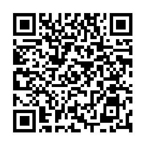 Lien vers votre campagne QRCode - Collecte de fonds