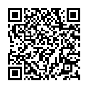 Lien vers votre campagne QRCode - Collecte de fonds