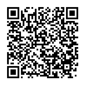 Lien vers votre campagne QRCode - Collecte de fonds