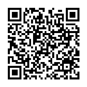 Lien vers votre campagne QRCode - Collecte de fonds