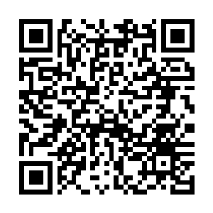 Lien vers votre campagne QRCode - Collecte de fonds
