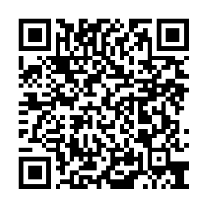 Lien vers votre campagne QRCode - Collecte de fonds