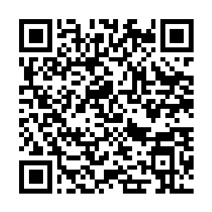 Lien vers votre campagne QRCode - Collecte de fonds