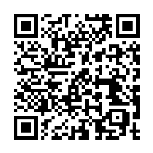Lien vers votre campagne QRCode - Collecte de fonds
