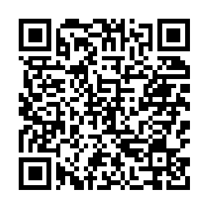 Lien vers votre campagne QRCode - Collecte de fonds