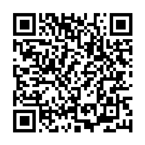 Lien vers votre campagne QRCode - Collecte de fonds