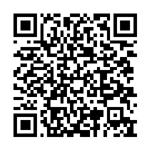 Lien vers votre campagne QRCode - Collecte de fonds