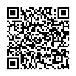 Lien vers votre campagne QRCode - Collecte de fonds
