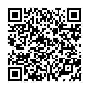 Lien vers votre campagne QRCode - Collecte de fonds