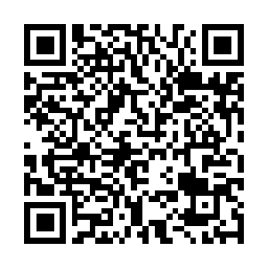 Lien vers votre campagne QRCode - Collecte de fonds
