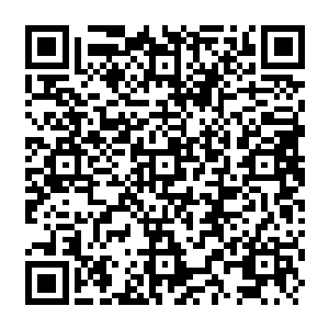 Lien vers votre campagne QRCode - Collecte de fonds