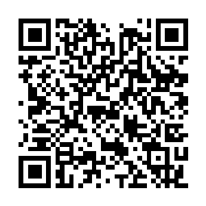 Lien vers votre campagne QRCode - Collecte de fonds