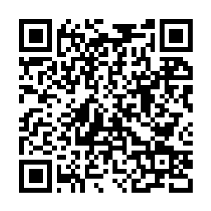 Lien vers votre campagne QRCode - Collecte de fonds