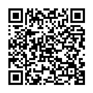 Lien vers votre campagne QRCode - Collecte de fonds