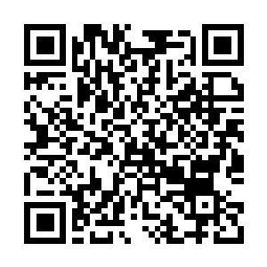 Lien vers votre campagne QRCode - Collecte de fonds
