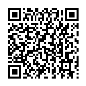 Lien vers votre campagne QRCode - Collecte de fonds