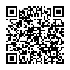 Lien vers votre campagne QRCode - Collecte de fonds