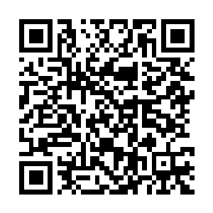 Lien vers votre campagne QRCode - Collecte de fonds