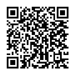 Lien vers votre campagne QRCode - Collecte de fonds