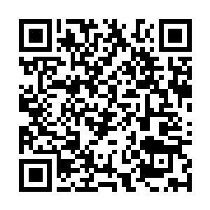 Lien vers votre campagne QRCode - Collecte de fonds