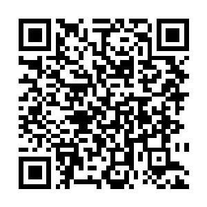 Lien vers votre campagne QRCode - Collecte de fonds