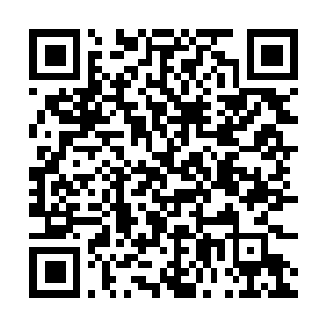 Lien vers votre campagne QRCode - Collecte de fonds
