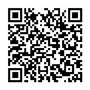 Lien vers votre campagne QRCode - Collecte de fonds