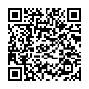 Lien vers votre campagne QRCode - Collecte de fonds