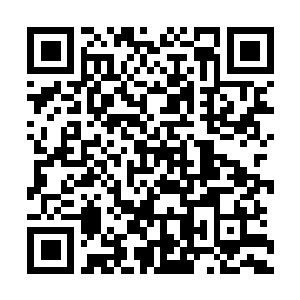 Lien vers votre campagne QRCode - Collecte de fonds