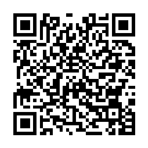 Lien vers votre campagne QRCode - Collecte de fonds