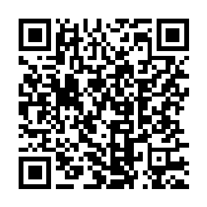 Lien vers votre campagne QRCode - Collecte de fonds