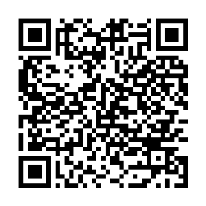 Lien vers votre campagne QRCode - Collecte de fonds