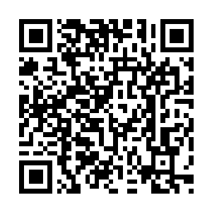 Lien vers votre campagne QRCode - Collecte de fonds