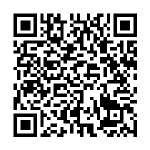 Lien vers votre campagne QRCode - Collecte de fonds