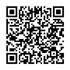 Lien vers votre campagne QRCode - Collecte de fonds