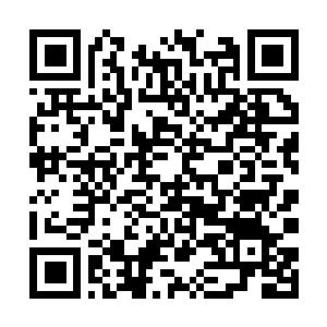 Lien vers votre campagne QRCode - Collecte de fonds