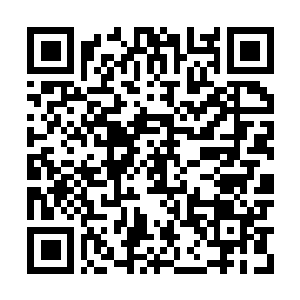 Lien vers votre campagne QRCode - Collecte de fonds