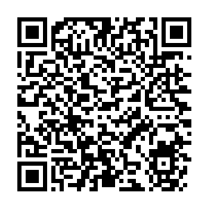 Lien vers votre campagne QRCode - Collecte de fonds