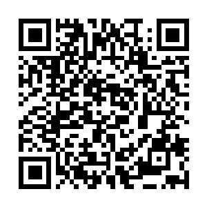 Lien vers votre campagne QRCode - Collecte de fonds