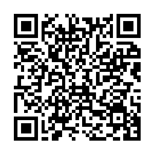 Lien vers votre campagne QRCode - Collecte de fonds