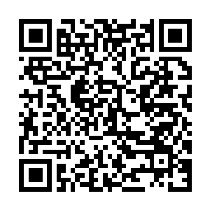 Lien vers votre campagne QRCode - Collecte de fonds