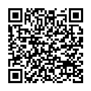 Lien vers votre campagne QRCode - Collecte de fonds