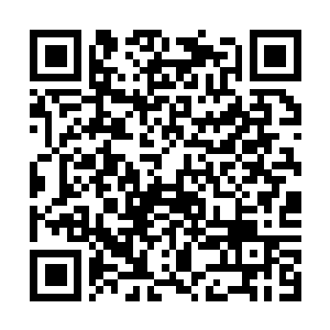 Lien vers votre campagne QRCode - Collecte de fonds