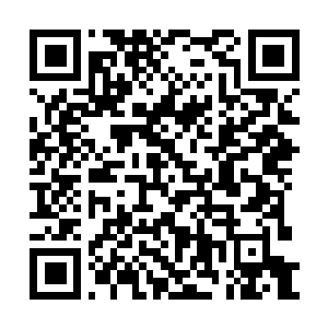 Lien vers votre campagne QRCode - Collecte de fonds