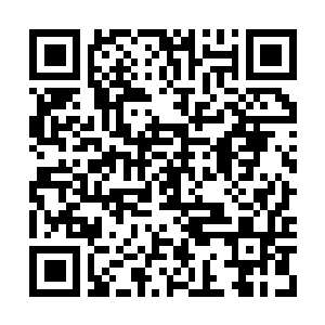 Lien vers votre campagne QRCode - Collecte de fonds